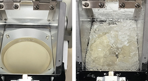 6a96968167b66.jpg